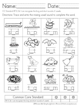 Preview of Vowels (common core aligned)