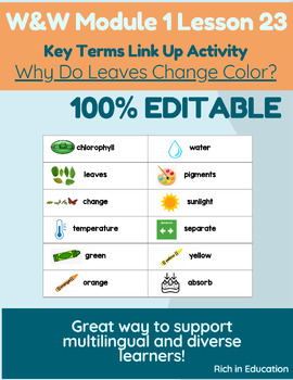 Preview of W&W - Why Do Leaves Change Color? Key Terms Link Up - Grade 2 - 100% EDITABLE