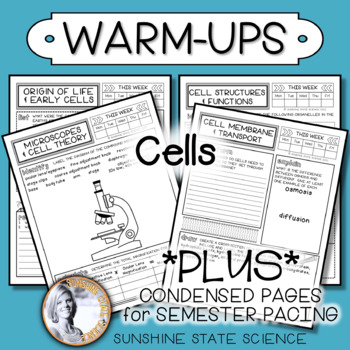 Preview of WARM-UP Cells