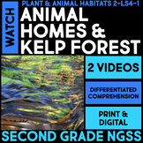 WATCH - Animal Homes, Kelp Forest Habitats 2nd Grade Scien