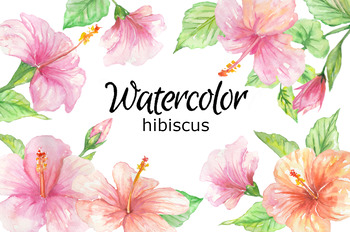 hibiscus clipart png
