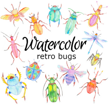 Watercolor Bug Insect Artwork, Fly Fishing Artwork by Alexandra