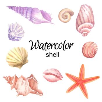 Free commercial use Seashells watercolor clipart sea marine life PNG transparent background marine print