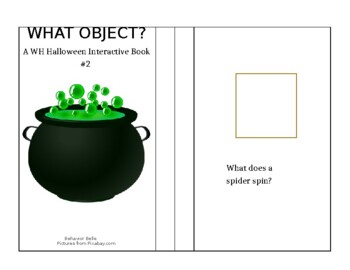Preview of WH QUESTIONS Halloween Edition (WHAT Object?) Adapted Book (WHAT QUESTIONS)