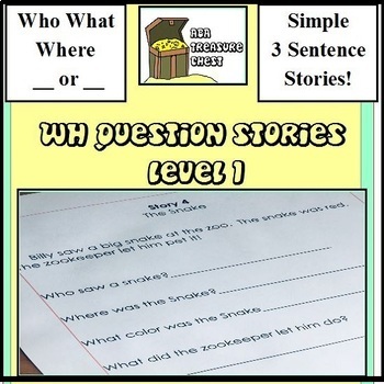 Preview of WH Question Stories Level 1 Autism, ABA ABLLS-R Q17