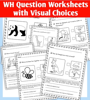 Preview of WH Question Worksheets with Visual Choices - 15 Pages - End of Year Summer 2024