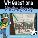 WH Questions - Winter Scenes