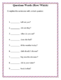 Question Words Worksheet SET (who, which, why, what, how, 