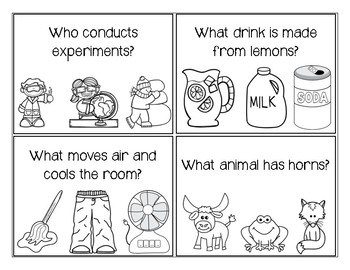 WH Questions with Visual Answers by DCD Special | TPT