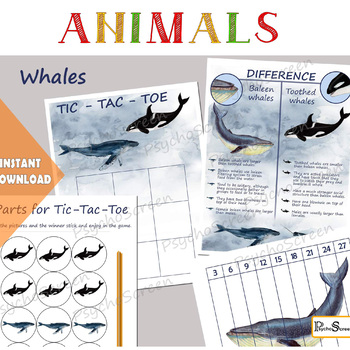 Preview of WHALE Unit Study • MEGA Printable wales set - anatomy, posters, cards, puzzle