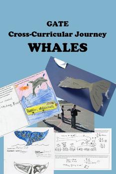 Preview of WHALES & Dolphins -- Cross-Curricular Adventure Upper Elementary and GATE