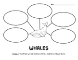 WHALES Graphic Organizer - Nonfiction