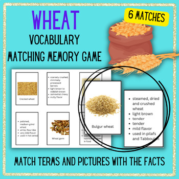 Preview of WHEAT Definitions Vocabulary Memory Matching Game Prostart Flash Cards