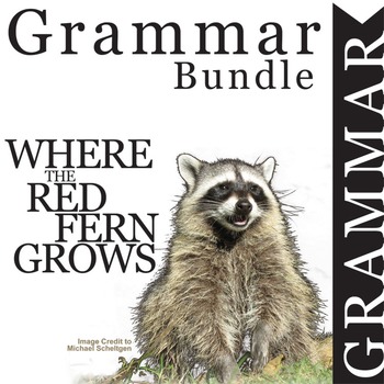Preview of WHERE THE RED FERN GROWS Grammar Commas Conjunctions Prepositions Interjections