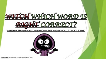 Preview of WHICH WORD IS CORRECT? Vocabulary booklet/posters