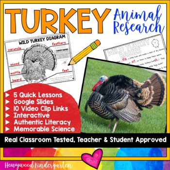 Preview of WILD TURKEYS . 5 days of FUN animal research . FUN Thanksgiving activities