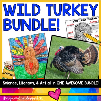 WILD TURKEYS BUNDLE! Directed Drawing Art Project & Animal Research in one!