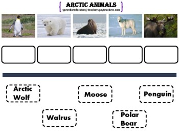 Preview of WINTER - Arctic Animals Label/Match!