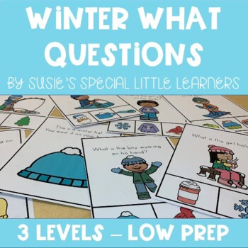 Preview of WINTER WHAT QUESTIONS FOR EARLY CHILDHOOD SPECIAL ED AND SPEECH THERAPY