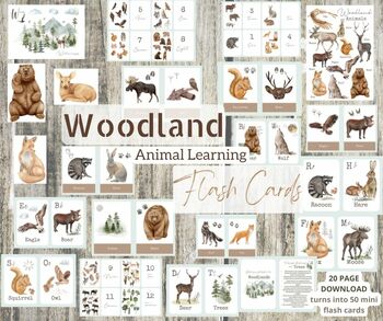 Preview of WOODLAND animal learning - flash cards -PRESCHOOL