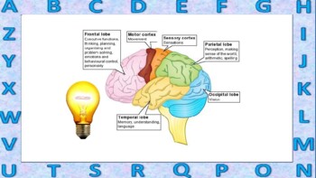 Preview of WORKING MEMORY - Executive Functioning Practice!!