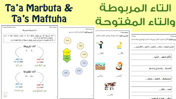 Preview of WORKSHEET: Taa Marbuta + Taa Maftuha | التاء المربوطة والتاء المفتوحة