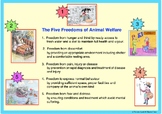 WORLD ANIMAL DAY FREE POSTER: The Five Freedoms of Animal 