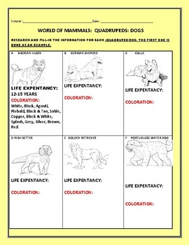Preview of WORLD OF MAMMALS:QUADRUPEDS/ DOGS: A STEM ACTIVITY #3