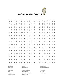 world of owls word search by house of knowledge and kindness tpt