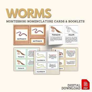 Preview of WORMS Zoology Parts of Earthworm Flatworm Roundworm Montessori Nomenclature