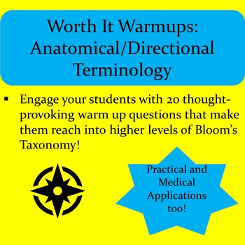 Preview of WORTH IT WARM UPS: Anatomical/Directional Terms Analysis & Application Questions