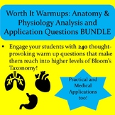 WORTH IT WARM UPS: Anatomy & Physiology Analysis and Appli