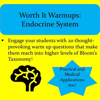 Preview of WORTH IT WARM UPS: Endocrine System Analysis and Application Questions