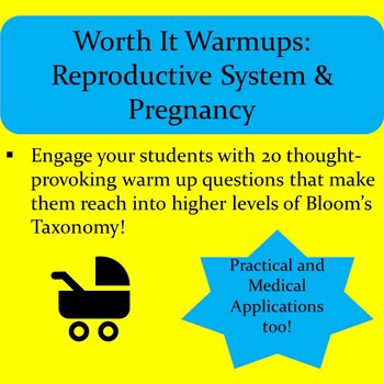 Preview of WORTH IT WARM UPS: Reproductive System/Pregnancy Analysis& Application Questions