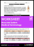 Worksheet - Muscular System Medical Terminology - HS-LS1