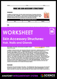 Worksheet - What are Skin Accessory Structures: Hair, Nail
