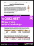 Worksheet - Urinary System Medical Terminology - HS-LS1