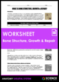 Worksheet - What is Bone Tissue Structure, Growth & Repair