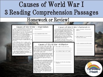 Preview of WWI (WW1) Reading Comprehension Packet (homework, review)
