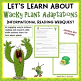 Wacky Plant Adaptations Webquest Worksheets Internet Scave