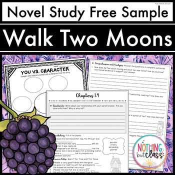 essay questions walk two moons