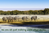 Walking Each Other Home Inspirational poster