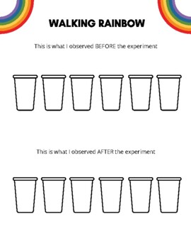 rainbow walking water experiment worksheet