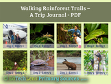 Walking Rainforest Trails - Virtual Field Trip PDF – Free