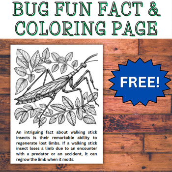 Preview of Walking Stick: Bugs & Fun Facts! FREE Insect Coloring Page! Morning Work Centers