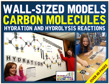 Preview of Wall-Sized Carbon Molecules: Hydration & Hydrolysis Reactions: Glucose