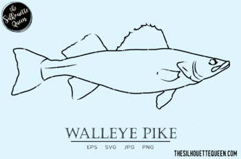 Walleye Pike Hand sketched, hand drawn vector clipart by The Silhouette  Queen