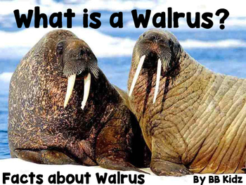 Preview of Walrus Facts {Lots of great facts about Walruses} A fun Fact Booklet and craft!