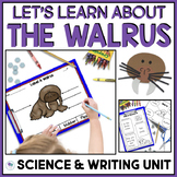 Walrus Life Cycle Lesson Plans For Arctic Animals First Gr