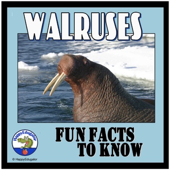 Preview of Walruses PowerPoint